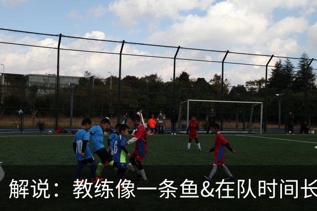 解说：教练像一条鱼&在队时间长了就会发臭 杜锋话语出现效应递减